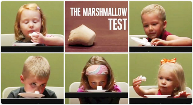 Source: https://sites.psu.edu/siowfa15/2015/09/18/dont-eat-the-marshmallow/